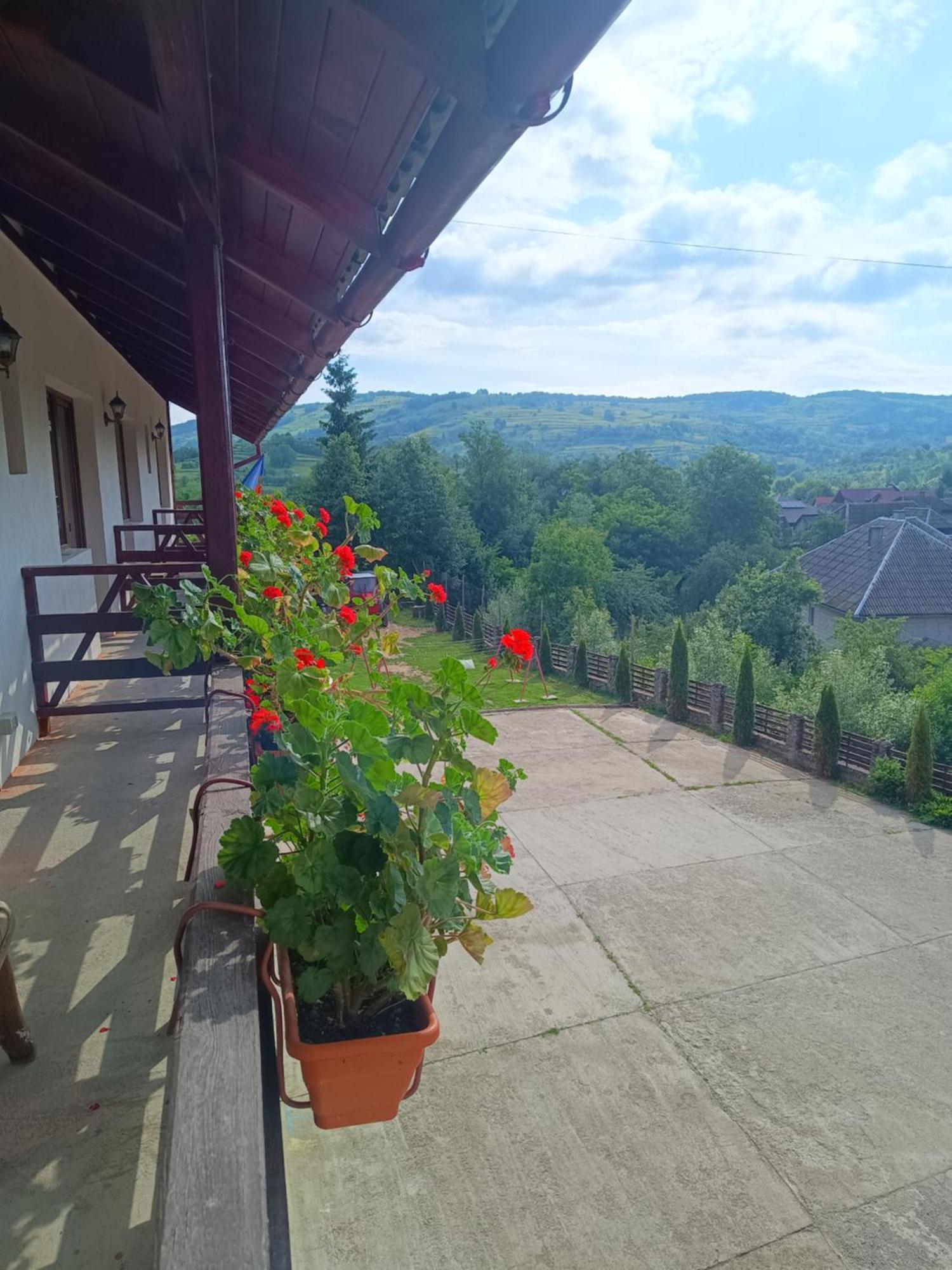Pensiunea In Poiana Glod  Exterior foto